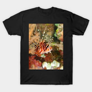 I spy a lionfish T-Shirt